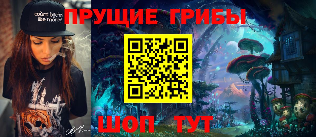Псилоцибиновые грибы Cubensis Белая Калитва