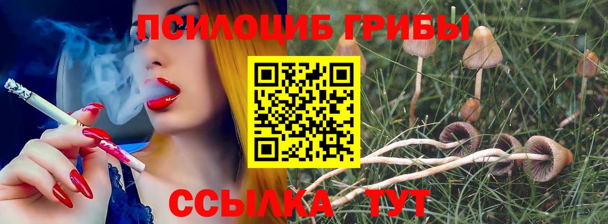 Галлюциногенные грибы MAGIC MUSHROOMS  Вход с VPN  Галлюциногенные грибы Magic Shrooms  Белая Калитва 